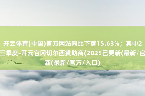 开云体育(中国)官方网站同比下落15.63%；其中2024年第三季度-开云官网切尔西赞助商(2025已更新(最新/官方/入口)