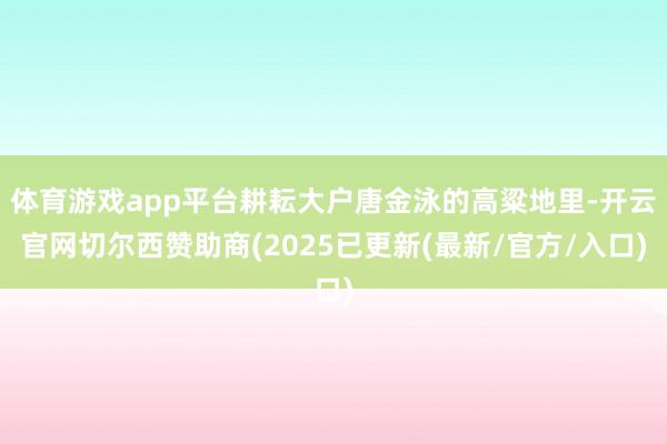 体育游戏app平台耕耘大户唐金泳的高粱地里-开云官网切尔西赞助商(2025已更新(最新/官方/入口)