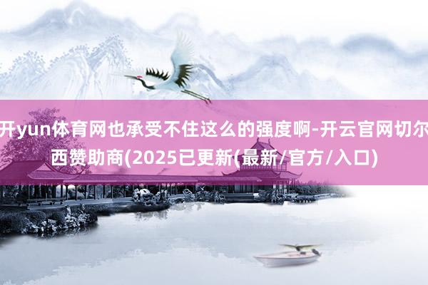 开yun体育网也承受不住这么的强度啊-开云官网切尔西赞助商(2025已更新(最新/官方/入口)