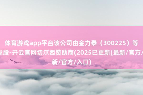 体育游戏app平台该公司由金力泰（300225）等共同握股-开云官网切尔西赞助商(2025已更新(最新/官方/入口)