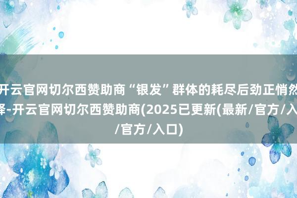 开云官网切尔西赞助商“银发”群体的耗尽后劲正悄然开释-开云官网切尔西赞助商(2025已更新(最新/官方/入口)
