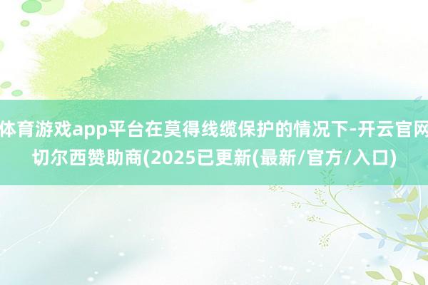 体育游戏app平台在莫得线缆保护的情况下-开云官网切尔西赞助商(2025已更新(最新/官方/入口)