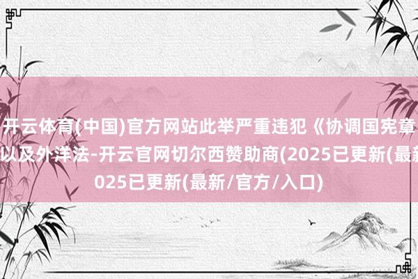 开云体育(中国)官方网站此举严重违犯《协调国宪章》主见和原则以及外洋法-开云官网切尔西赞助商(2025已更新(最新/官方/入口)